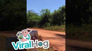 Beer Perfectly Placed on Rally Road || ViralHog