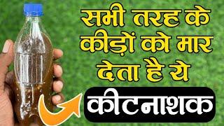 पौधे के सभी कीड़ों का इलाज है ये कीटनाशक || All Pest Control || Organic Pesticides,Rn kushwaha