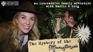 The Mystery of the Moonflower - an interactive family adventure with Maddie & Greg