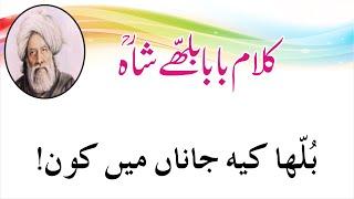 Bulha Ki Janan Main Kon | Baba Bulhy Shah | Pakistan Adbi Forum International | Punjabi Poetry