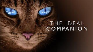 The Ideal Companion | FULL Documentary | The Best Cat Breeds Explained