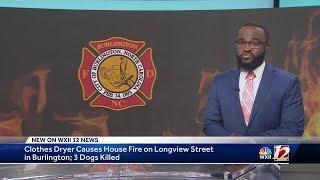 Dogs die from smoke inhalation in Burlington house fire, officials say