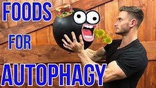 How to Boost Autophagy without Fasting | What is Autophagy | Foods for Autophagy - Thomas DeLauer