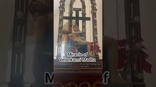 Mother mary Viral Video ️