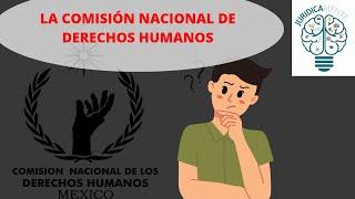 LA COMISIÓN NACIONAL DE DERECHOS HUMANOS