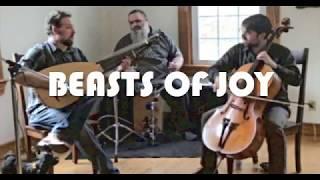 Beasts of Joy - I Never Cared for You (Willie Nelson cover)