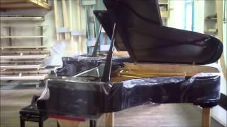 Test  pianos Steinway Forster Pfeiffer Fazioli Grotrian Bluthner Bechstein Bosendorfer Steingraeber