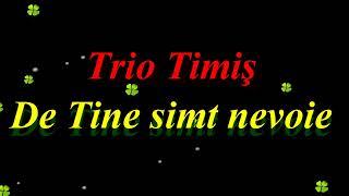 Trio Timiş - De Tine simt nevoie - text Ioan Marini - mel Moldoveanu - 2017