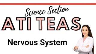 ATI TEAS 7 Science Course | Nervous System