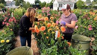 Cut Flower Garden Work Day with Monica! ️ // Garden Answer