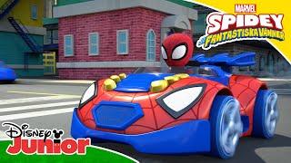 Rött eller grönt ljus | Spidey och hans fantastiska vänner | Disney Junior Sverige