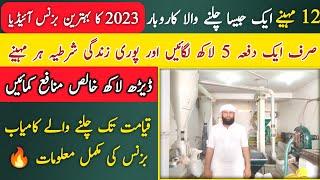 Cyclone Atta Chakki | Mini Flour Mill | How To Start Atta Chakki Business Pakistan |Business Village