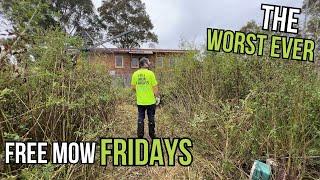 The most OVERGROWN Suburban backyard I've ever seen. Free Mow Fridays