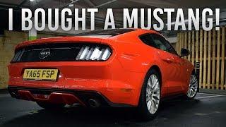 I BOUGHT A MUSTANG!