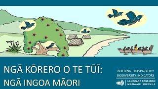 NGĀ KŌRERO O TE TŪĪ | NGĀ INGOA MĀORI