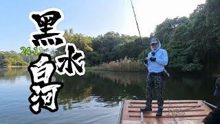 黑水白河，冷冷的冬季來找青青的魚虎。feat. @FishingCorps   #vlog #台南白河 #lurefishing #tomanfishing #魚虎 #多曼 #路亞 #釣查兵團