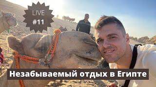 Незабываемый отдых в Египте Yanushevsky LIVE #11 #yanushevskylive