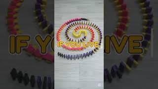 if you live #shorts #trending #usa