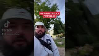 Легальная работа в Германии￼￼