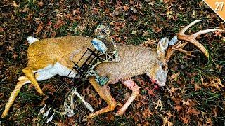 HUNTING LOCKED DOWN BUCKS in the Rut (11 Yard SHOT!)