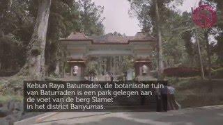 Kebun Raya Baturraden | Tourism Indonesiënu.nl