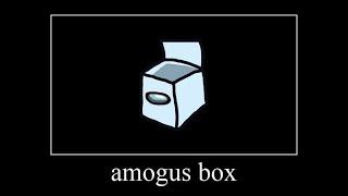 what in amogus box | suguma meme