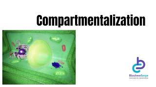 Part 6 - Compartmentalization - BiochemSerye