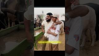 THE BEST CONFUSION EVER  #syedfahad #viralvideo #vampireyt