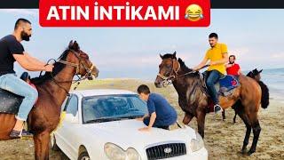 YARIŞ ATLARI İLE SAFARİ YAPTIK! SİNAN'A ( PUSU )