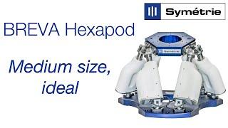 SYMETRIE BREVA hexapod