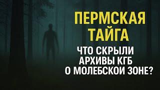 Молебская аномальная зона. Что нашли в закрытых архивах КГБ