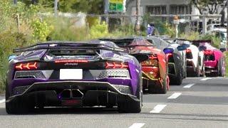 【LOUD】More than 40 Lamborghini Aventador! Acceleration sound! Exhaust sounds!