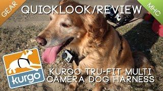 Review of Kurgo Tru-Fit Smart Harness with Camera Mount