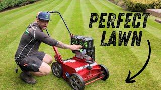 How To Fix An UGLY Lawn With These Renovation Steps | Ego Battery Powered Camon ES42 & EA25