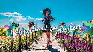 Colorful Flowers In Rainbow Garden Gowa | Cinematic Vlog Shot on Mi Note 10