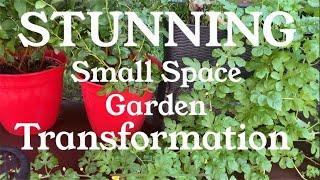 STUNNING Small Space Garden Transformation On A Dime | Container Gardening
