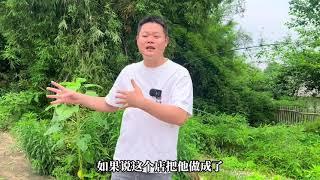 计划投资300万的农庄还没开业就烂尾了？坦然面对原因是这样的