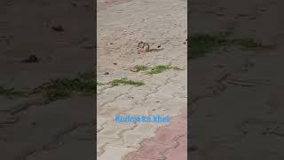 #kudrat ka khel# short viral video