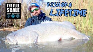 Fish of a LIFETIME | The Full Scale