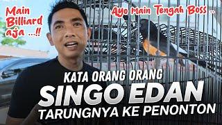 SINGO EDAN DITANTANG TARUNG DENGAN BURUNG ‼️ Kopdar SMM