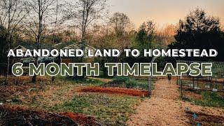 Homestead Timelapse - First 6 Months | How We Made it Happen as Newbies