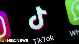 Supreme Court appears unlikely to block TikTok ban from taking effect