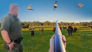 This COW PASTURE was LOADED with DOVES! (GAME WARDEN CALLED)