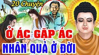 20 Chuyện Phật Giáo 2024 Hay, LÀM ÁC GẶP ÁC...Nhân Quả Ở Đời Không Thoát Được | Chuyện Kể Đêm Khuya