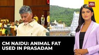 Andhra CM Alleges Animal Fat In Tirupati Balaji Temple Prasadam, Sparks Controversy | India Today