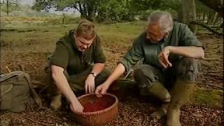 Ray Mears'  Wild Food Episode 5