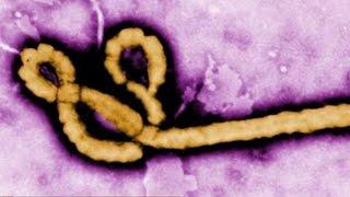 Ebola in America: Man hospitalized with first U.S. case