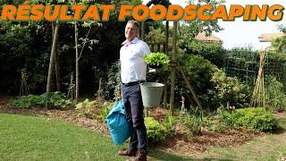 Forme Finale du MASSIF de FOODSCAPING - Que Faire Dans Mon Jardin ? Semaine 25