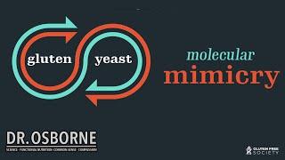 Is It Gluten, A Yeast Overgrowth, Or Both?