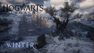 Hogwarts Legacy - Beauty of winter - soft background music + relaxing ambient sounds